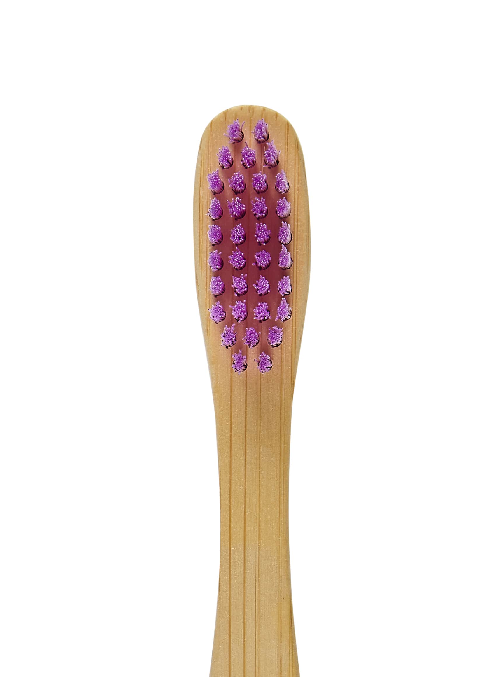 Adult Bamboo Eco Friendly Toothbrush - 1 Pack - Image 7