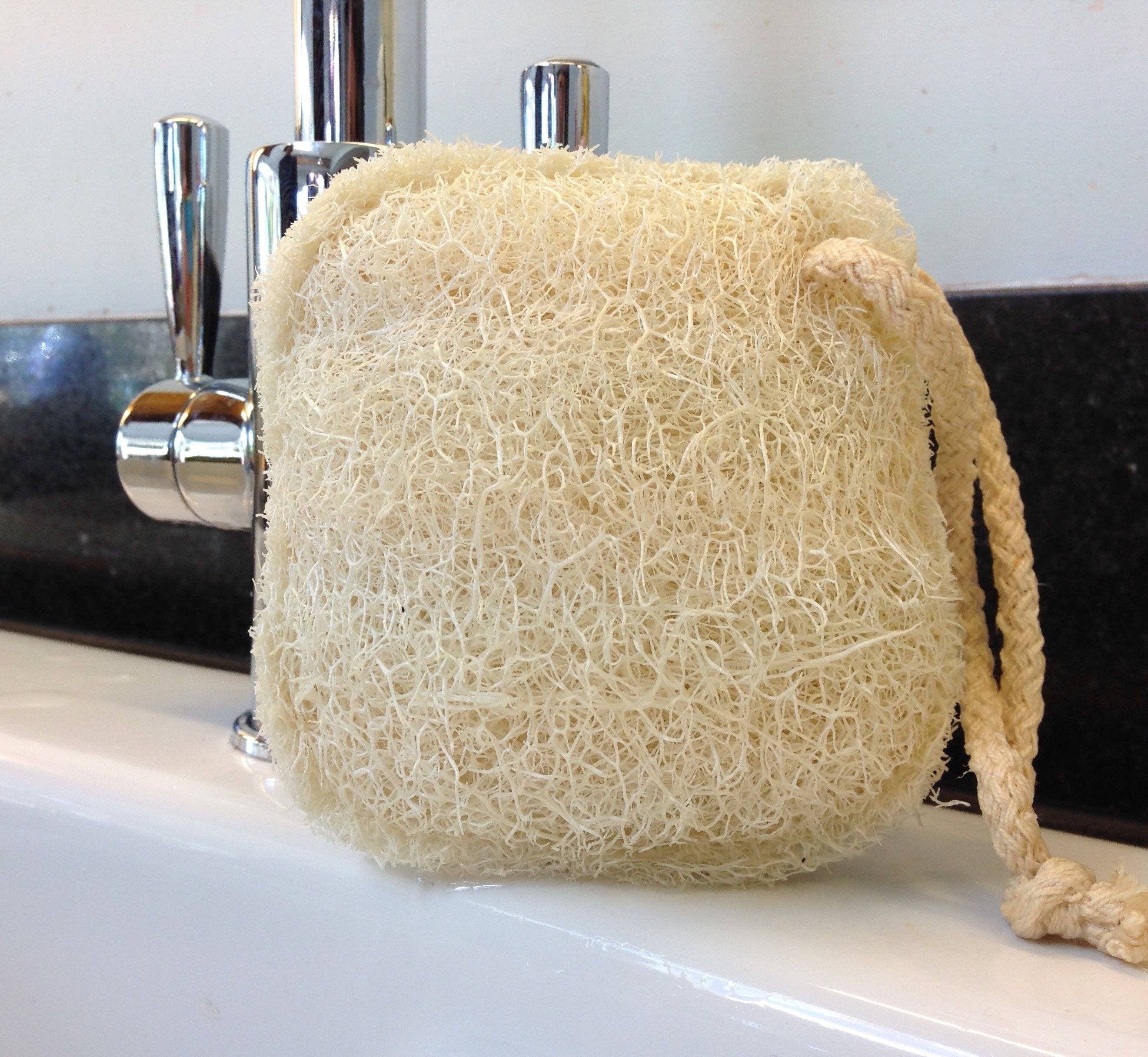 LoofCo Cleaning Pad – Natural Loofah Scrubber for Surfaces - Image 4