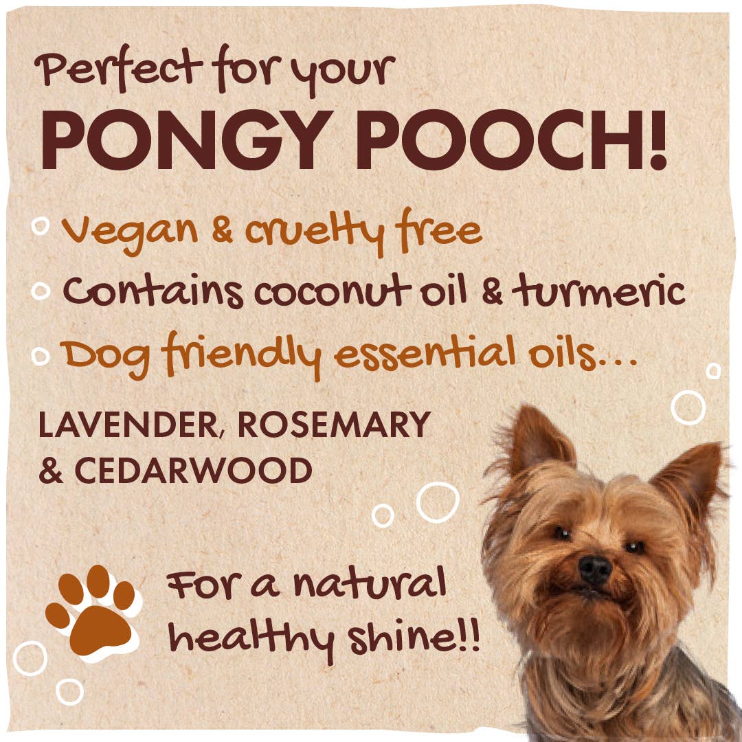 Dog Shampoo Bar – Pest-Repelling & Calming Formula - Image 3