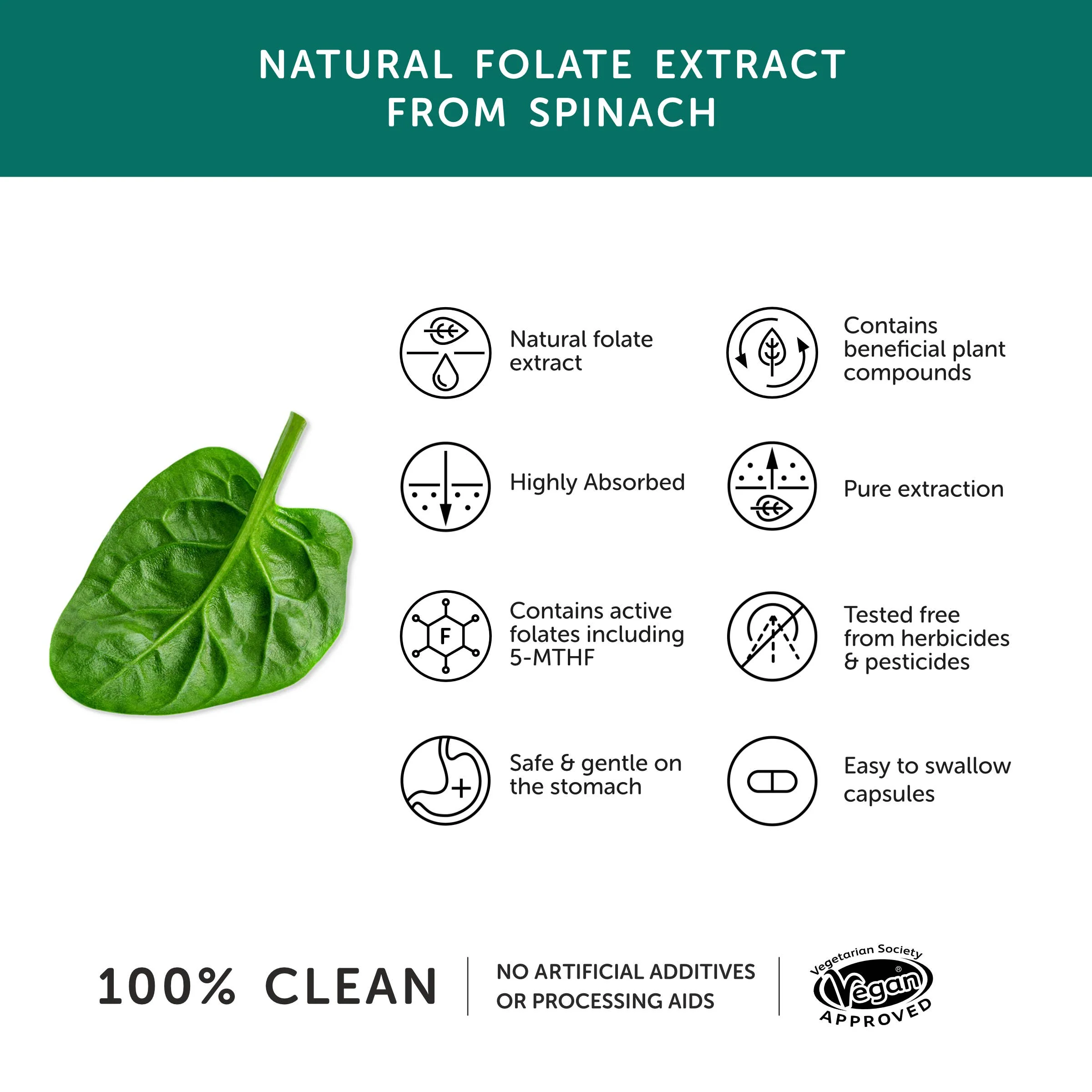 Folate – Natural Alternative to Folic Acid – 30 Capsules - Image 3
