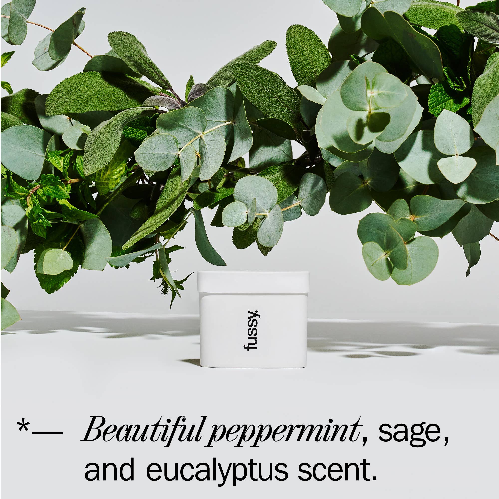 Fussy Natural Deodorant Refill - Wavy Days - Image 2