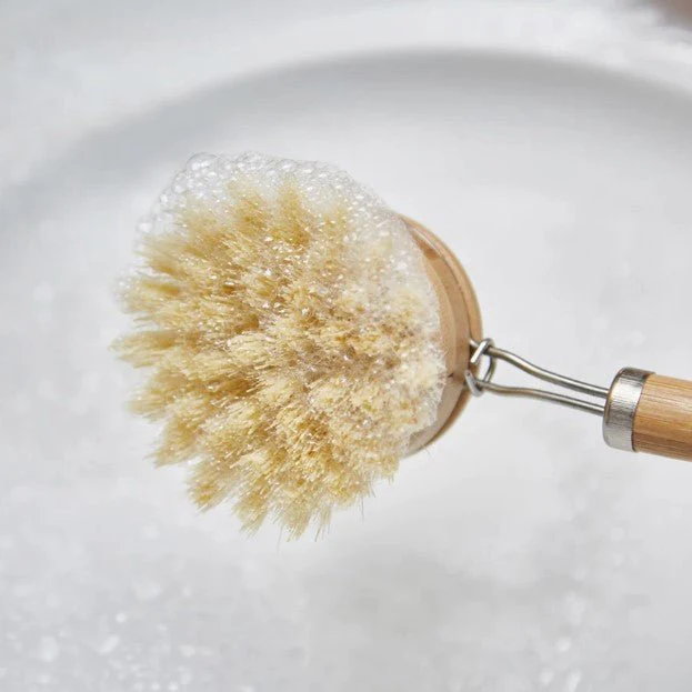 Green Island Replaceable Dish Washer, Plastic Free Eco Friendly Kitchen Brush - Image 3
