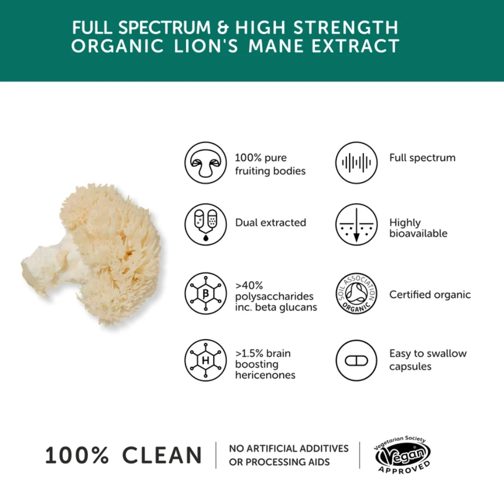 Lion’s Mane Mushroom 1000mg Capsules – High Strength 20:1 Extract (60 Capsules) - Image 3