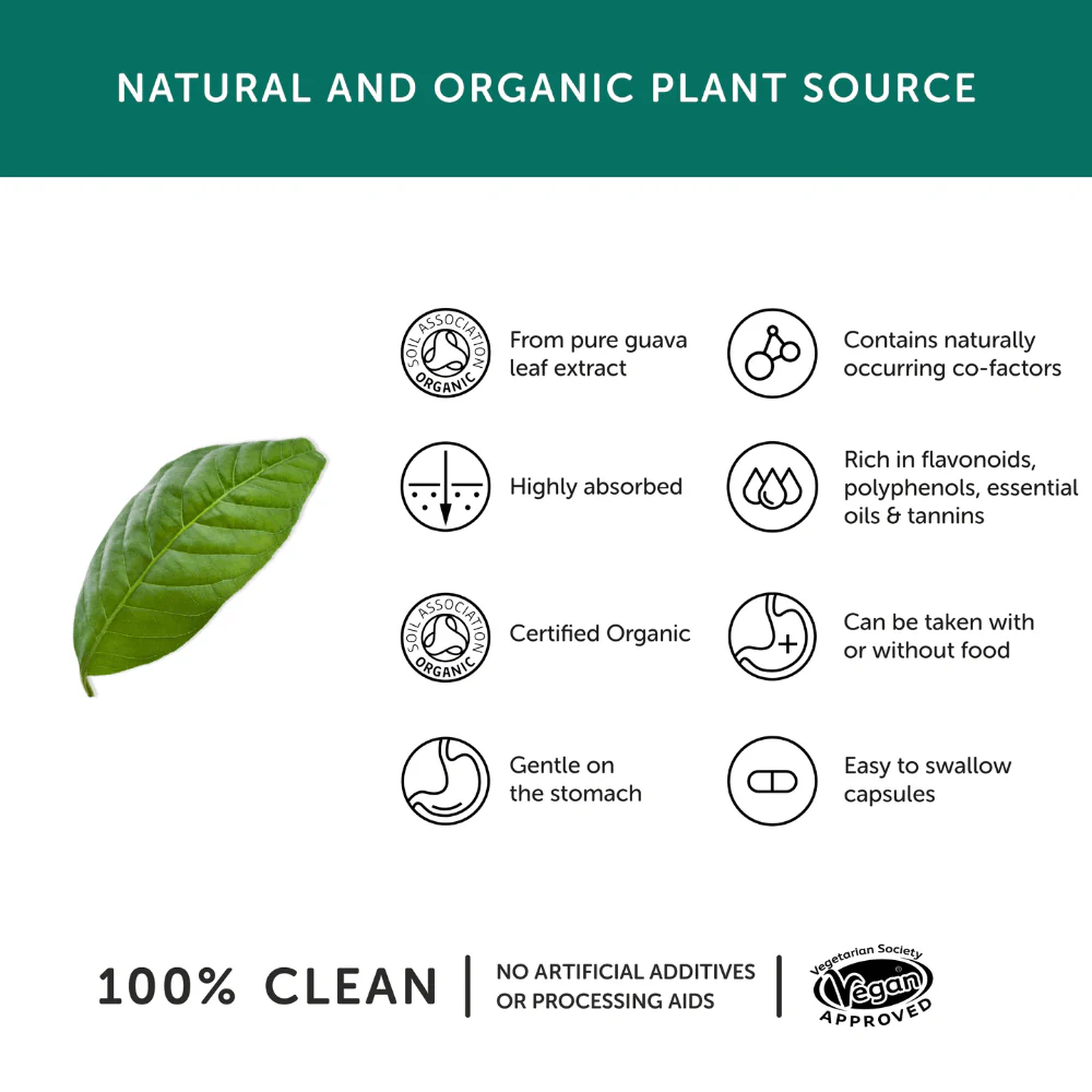 Organic Guava Leaf Zinc Capsules – Soil Association Certified Plant-Based Zinc (30 Capsules) - Image 4