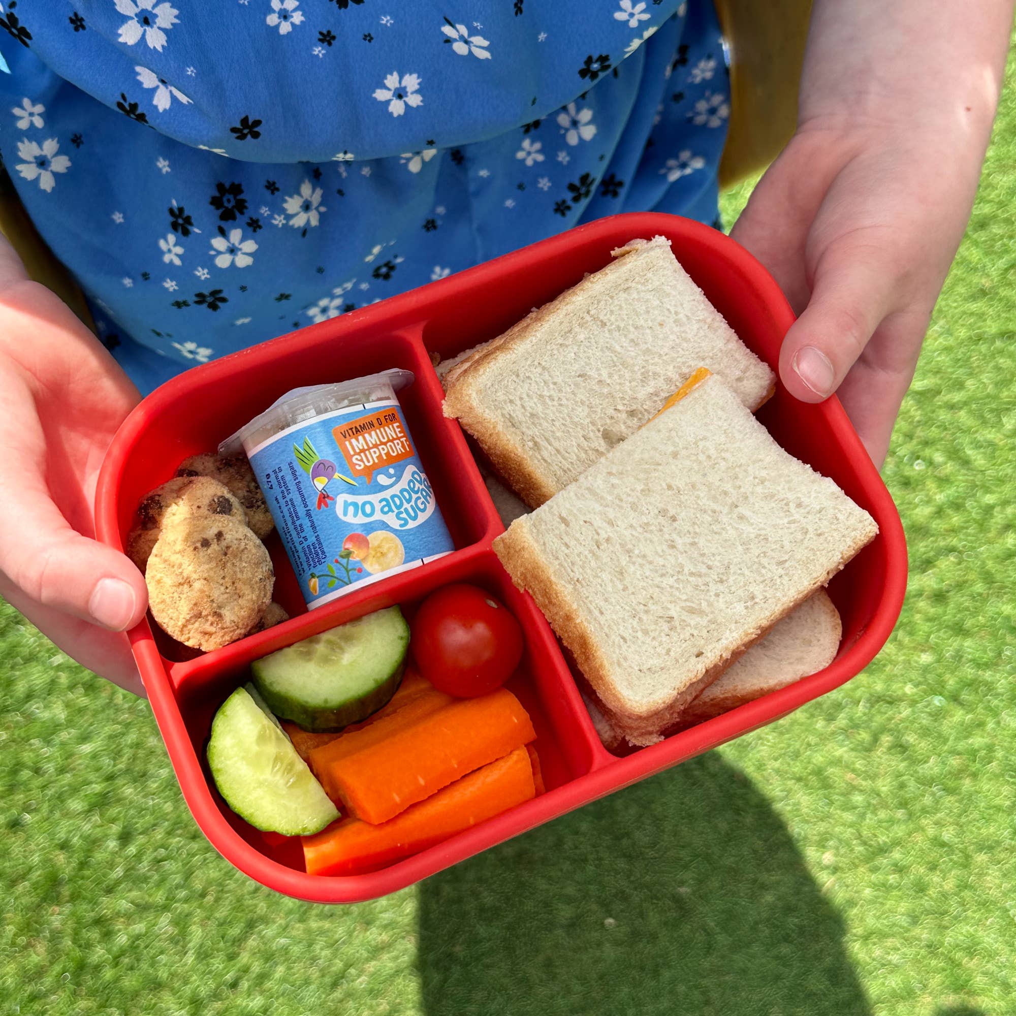 Pick Plates Pick Box Classic Silicone Lunch Box – 3 Compartment 750ml - Image 3