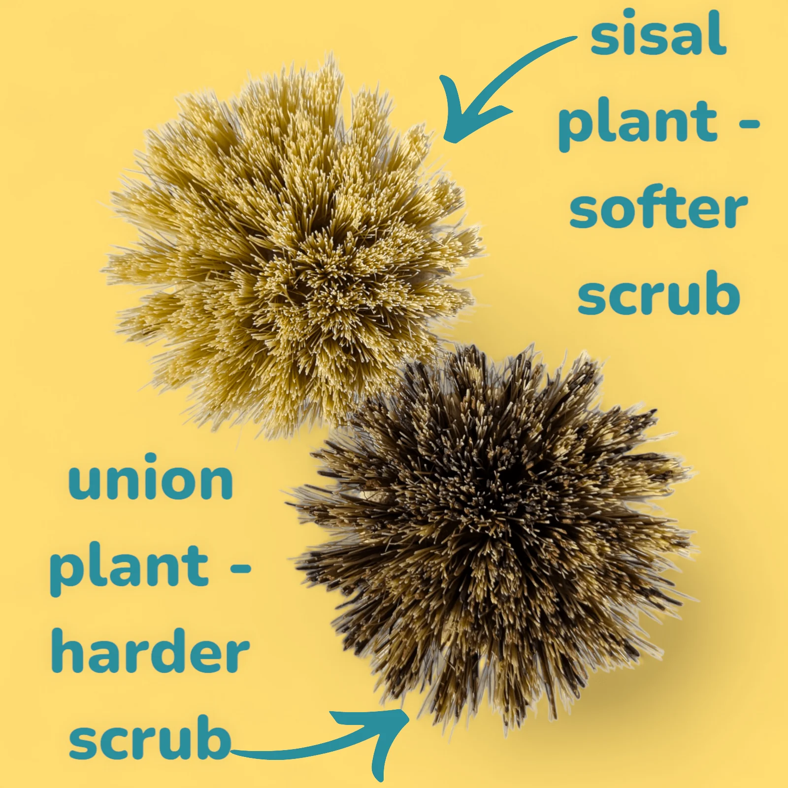 Pot Scrubbing Brushes | Set of 2 - Image 4