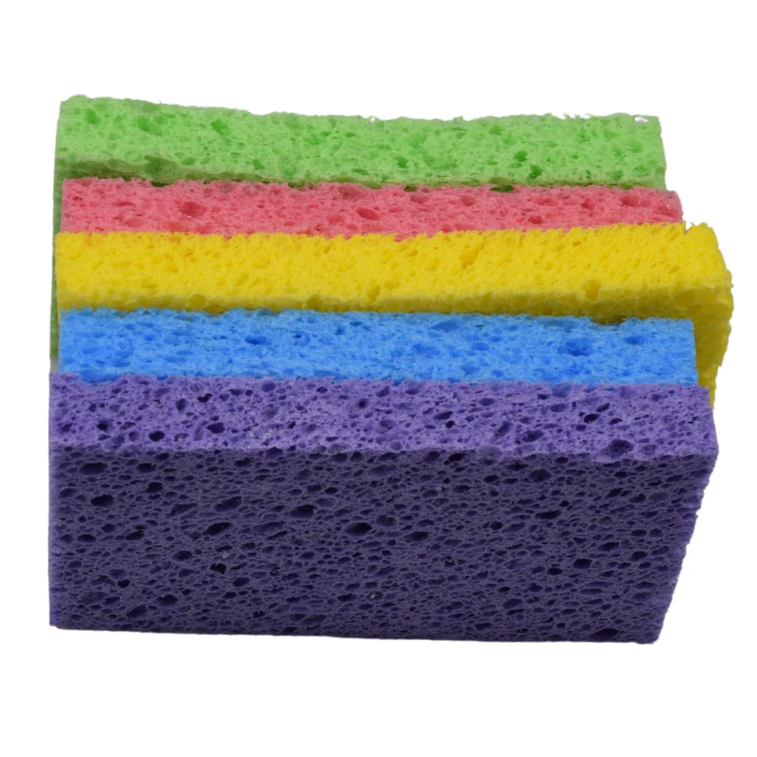 Re:gn Magic Compressed Plant-Based Sponges (5-Pack) - Image 11