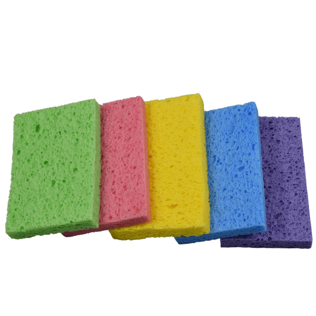 Re:gn Magic Compressed Plant-Based Sponges (5-Pack) - Image 12