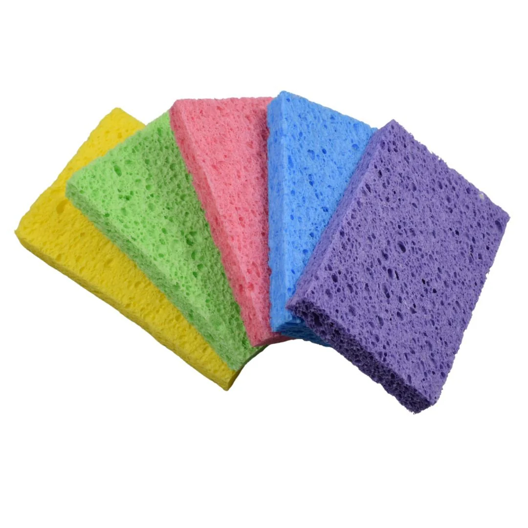 Re:gn Magic Compressed Plant-Based Sponges (5-Pack) - Image 5