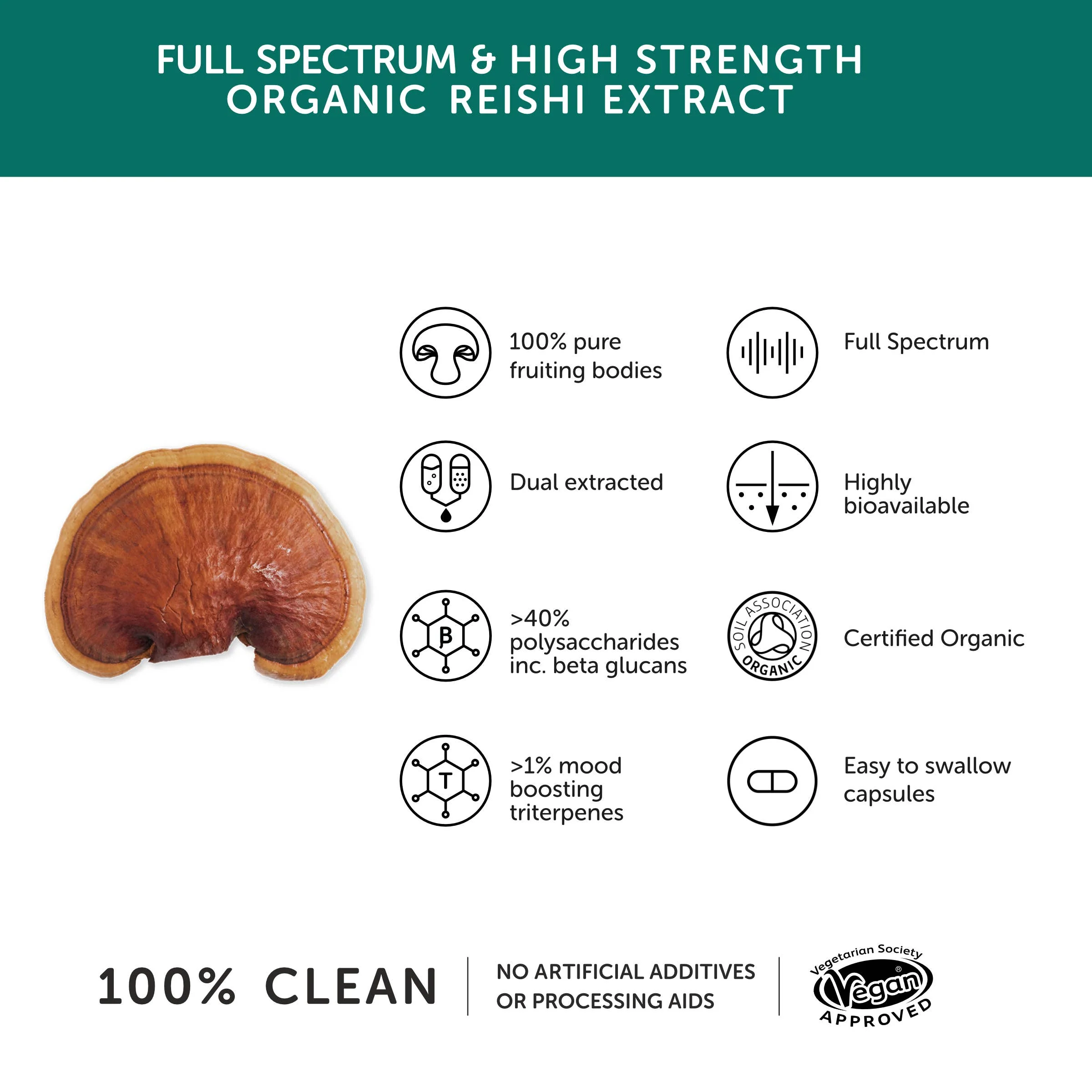 Reishi Mushroom 10,300mg - High Strength – 60 Capsules - Image 3