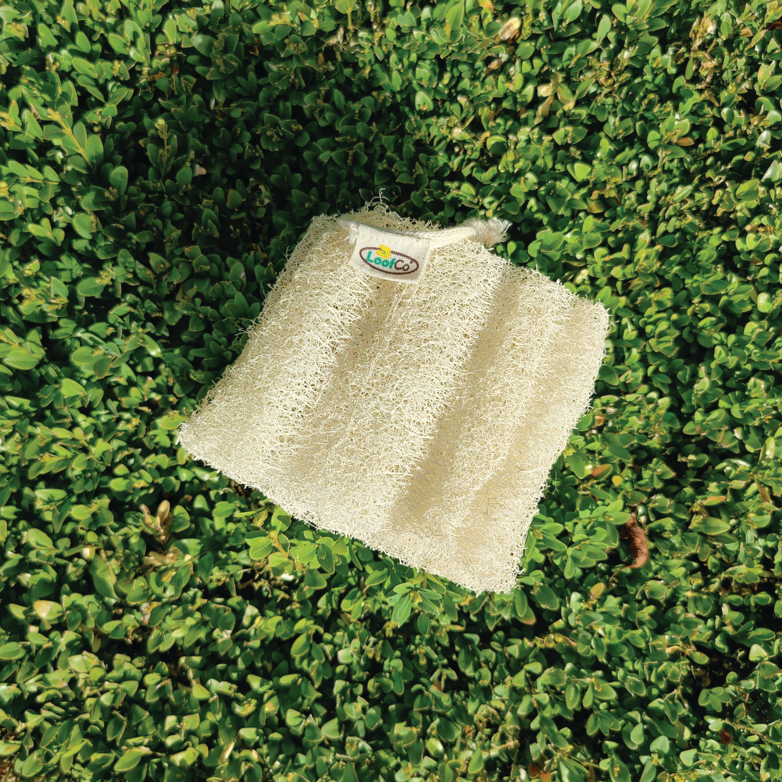 LoofCo Root Vegetable Scrubber – Natural Loofah Veggie Cleaner with Cotton Loop - Image 3
