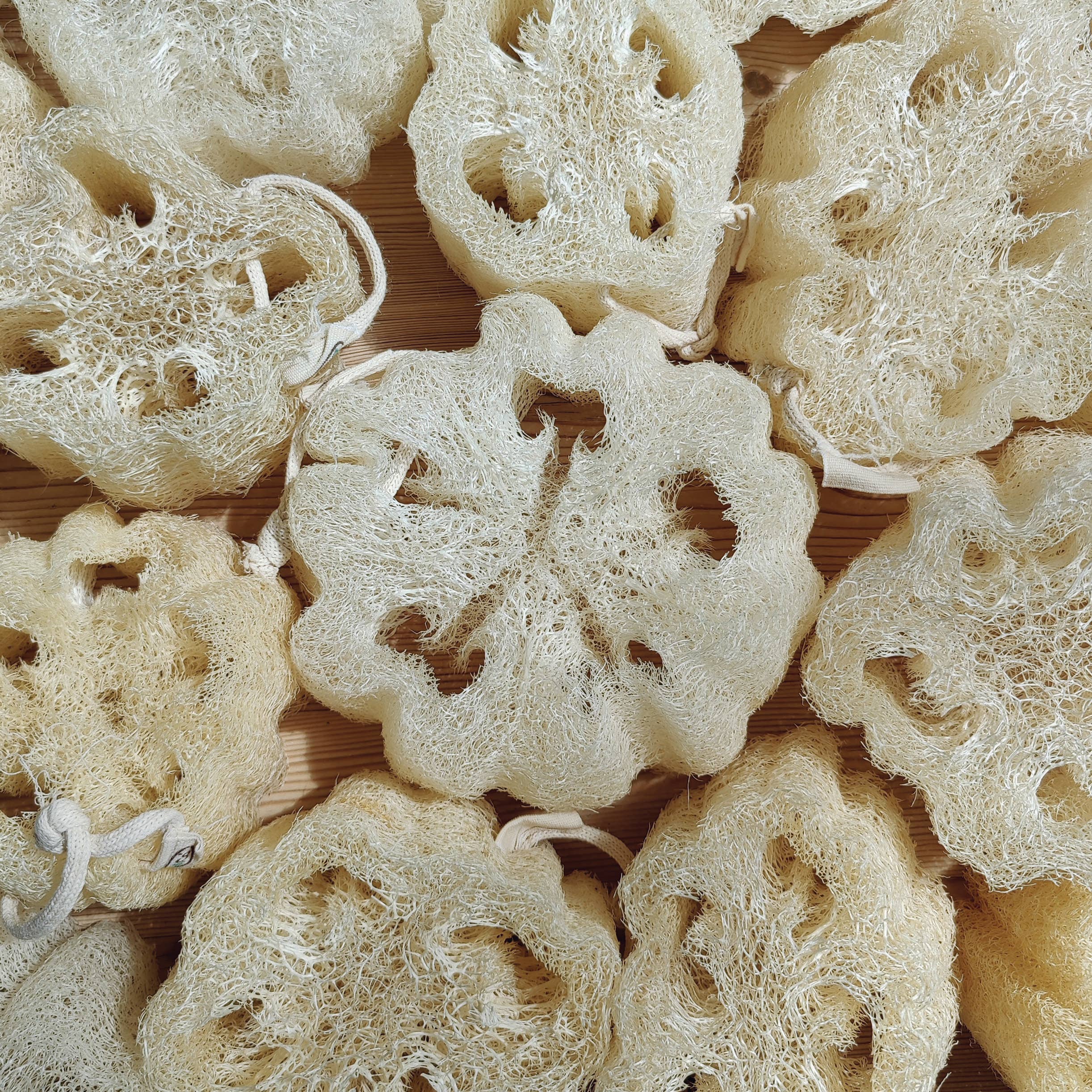 LoofCo Washing-Up Pad – Natural Loofah Dish Sponge - Image 3